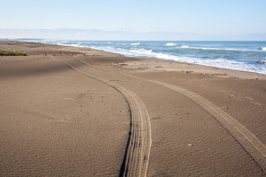 Similar image 13062058