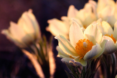 Similar image 13024086