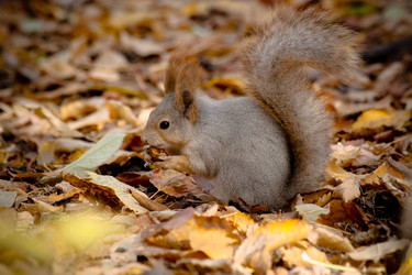 Similar image 13024087