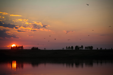 Similar image 13024088