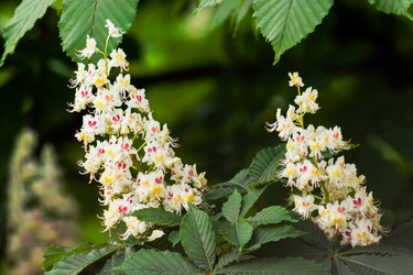 Similar image 13023893