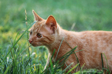 Similar image 13024099