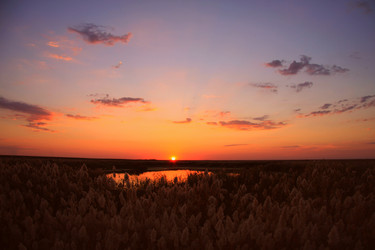 Similar image 13024102