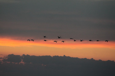 Similar image 13024103