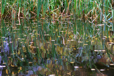 Similar image 13024104