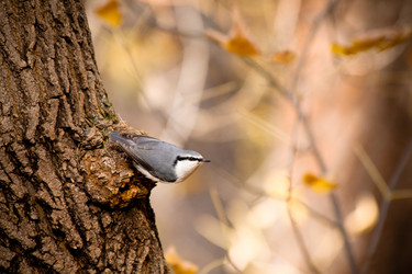 Similar image 13024105