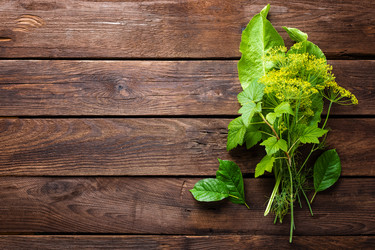 Similar image 13024890