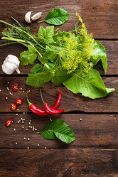 Similar image 13024895