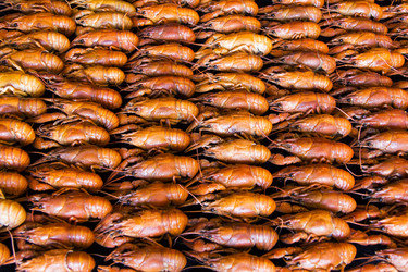 Similar image 13028495