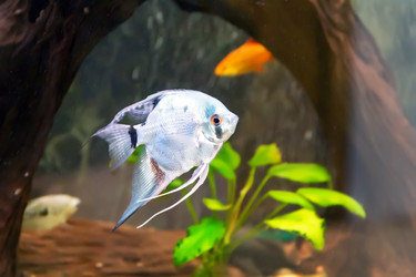 Similar image 13028501