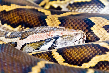 Similar image 13028517