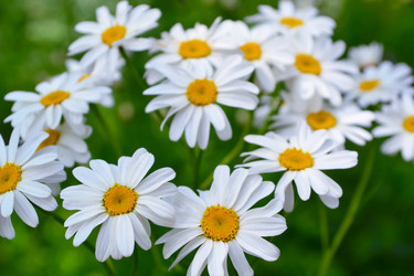 Similar image 13045230