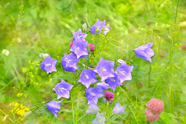 Similar image 13045625