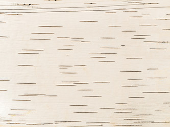 Similar image 13023800