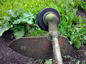 Similar image 13023780