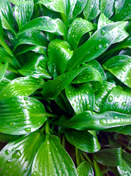 Similar image 13023781