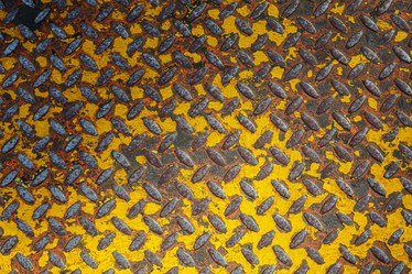 Similar image 13032282