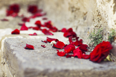 Similar image 13033367