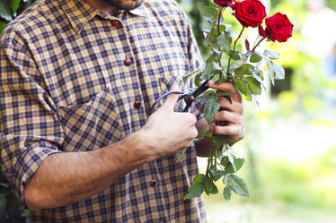 Similar image 13033368