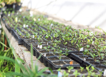 Similar image 13033393