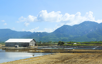 Similar image 13033397