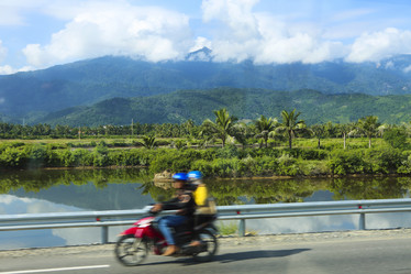 Similar image 13033400