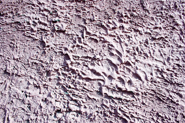 Similar image 13060810