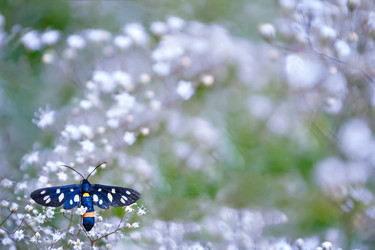 Similar image 13045278