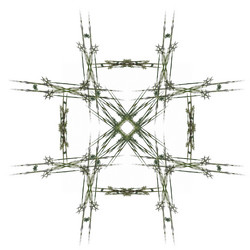 Similar image 13044225