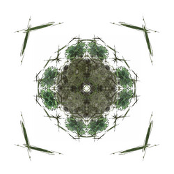 Similar image 13044226