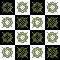 Similar image 13043770