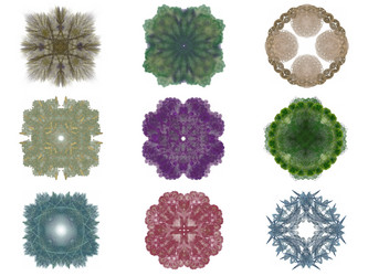 Similar image 13044271