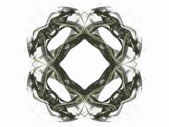 Similar image 13044274