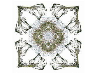 Similar image 13044302