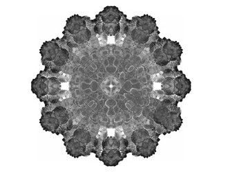 Similar image 13064407