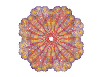 Similar image 13065348