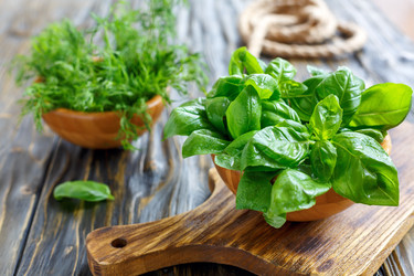 Similar image 13033487