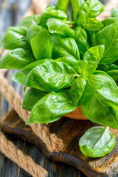 Similar image 13033488