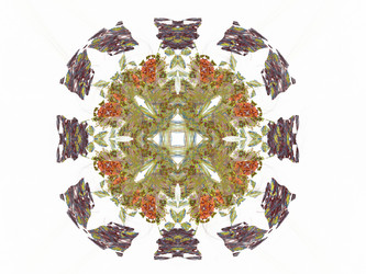 Similar image 13065354