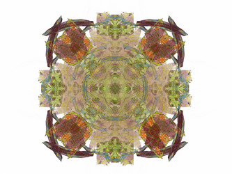 Similar image 13064454