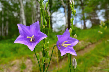 Similar image 13045169