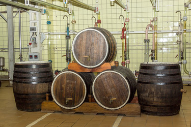 Similar image 13028141