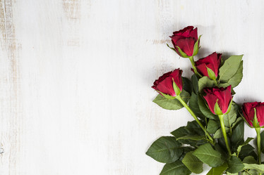 Similar image 13043925