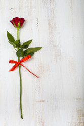 Similar image 13044027