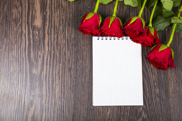 Similar image 13044032