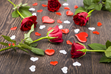 Similar image 13044033