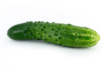 Similar image 13028145