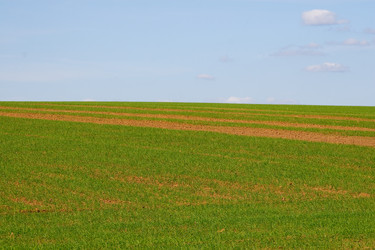 Similar image 13043929