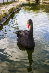 Similar image 13043957