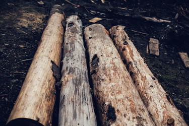 Similar image 13028363